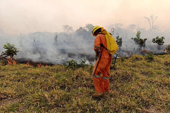 En Amazonie bolivienne, les autorités dépassées par des feux incontrôlables 