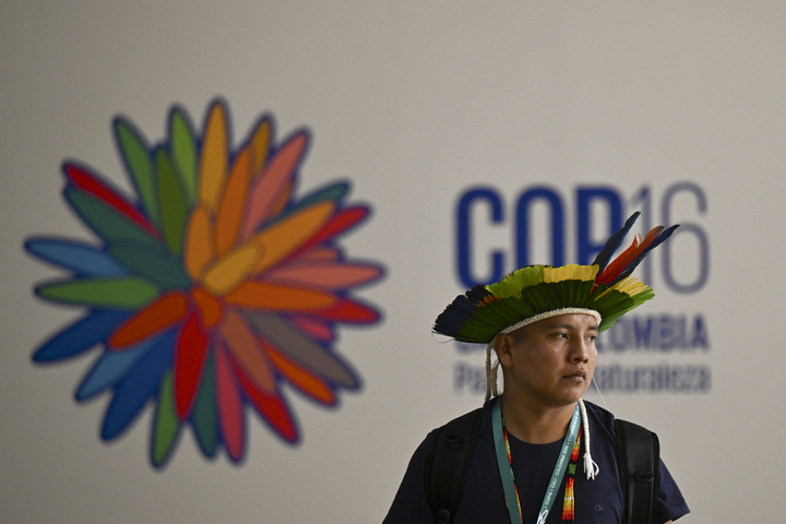 <span class="caps">COP16</span> : la Colombie, un pays hôte dont la biodiversité est très menacée