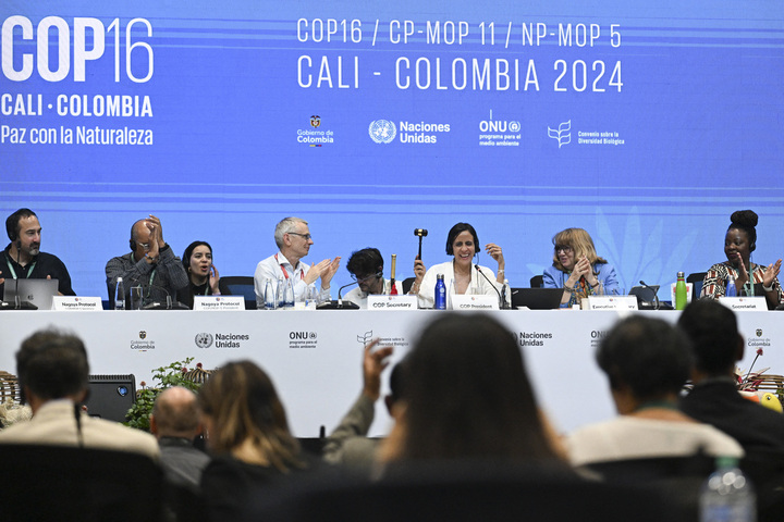 <span class="caps">COP16</span> : un échec cuisant sur le financement