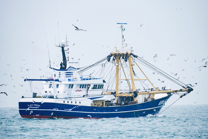 Pêche : la ministre de la mer pourrait exclure les bateaux industriels des côtes françaises