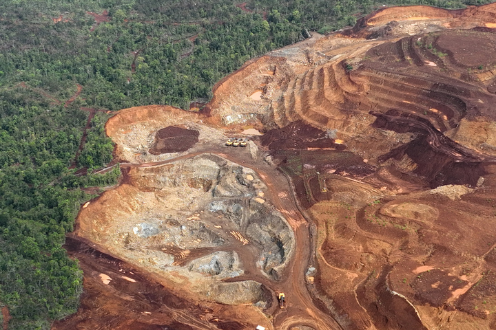 Des scientifiques dénoncent le rôle central des entreprises dans la destruction du vivant
