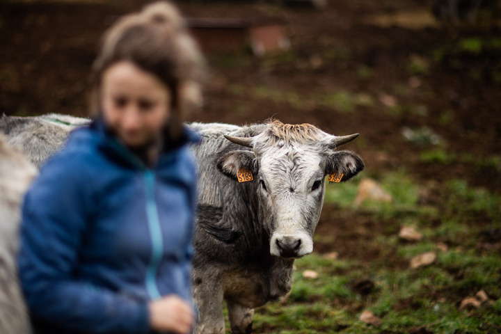 Revenus des agriculteurs : le gouvernement prolonge un dispositif inefficace