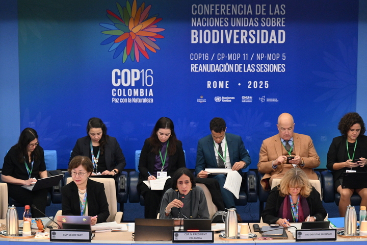 À la <span class="caps">COP16</span>, les États trouvent enfin un accord financier pour la biodiversité
