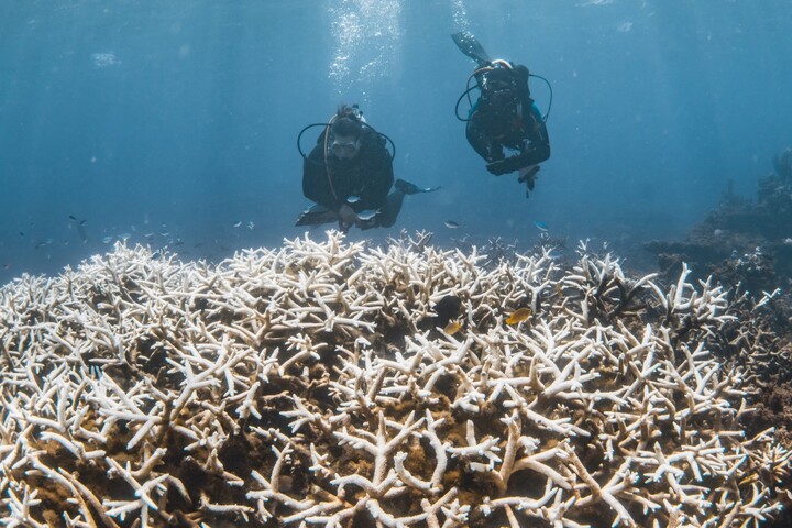 Chaleur, sécheresses, pluies... El Niño pourrait revenir en 2026
