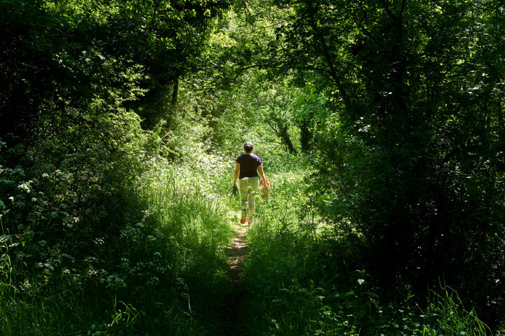 Quand la marche nourrit, guérit et émancipe