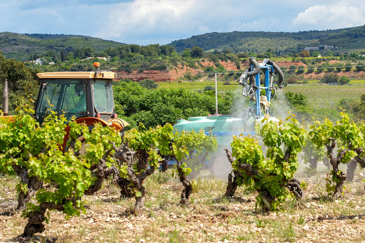 Habiter près des vignes vous expose davantage aux pesticides