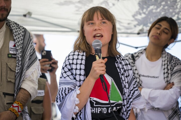 Greta Thunberg, Valérie Masson-Delmotte... Des écologistes s'engagent pour Gaza