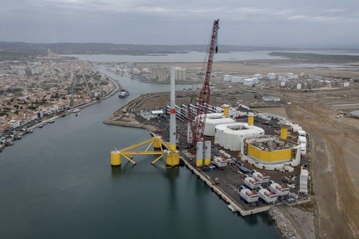 Éoliennes en mer : le gouvernement a oublié les oiseaux
