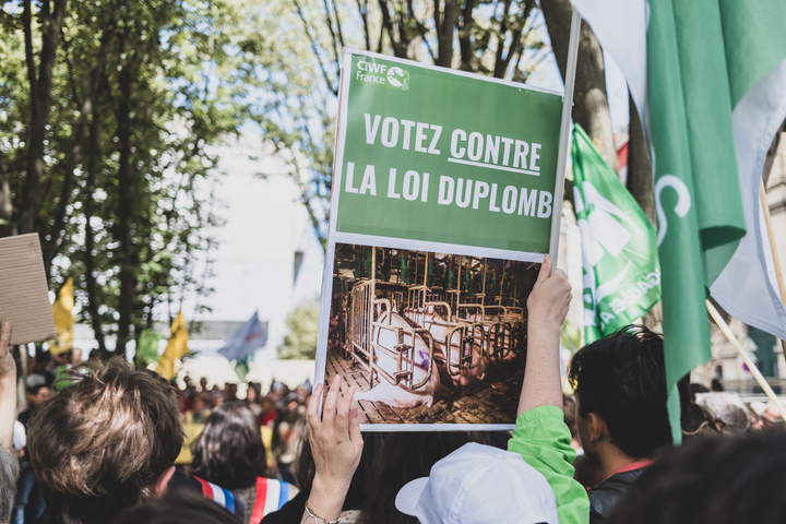 De la Révolution à la loi Duplomb, une petite histoire des pétitions