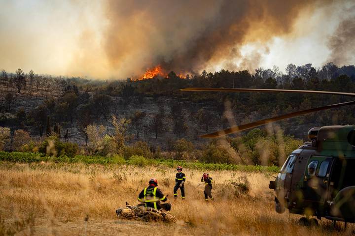 Incendies : «<small class="fine d-inline"> </small>On plante des arbres qui sont comme des allumettes<small class="fine d-inline"> </small>»