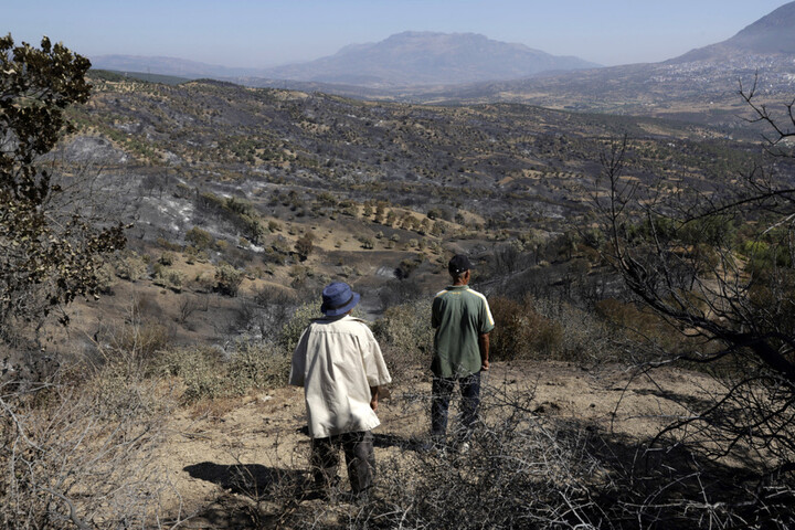 Incendies : les populations africaines en première ligne