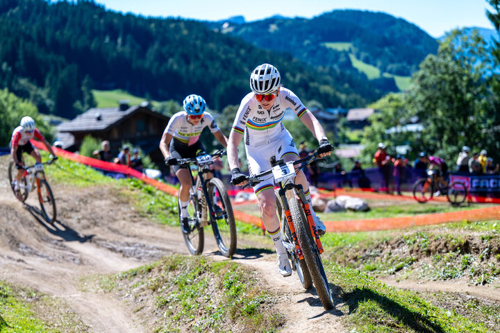 «<small class="fine d-inline"> </small>Pour eux, ici, c'est Disneyland<small class="fine d-inline"> </small>» : des bergers s'opposent au <span class="caps">VTT</span> en montagne