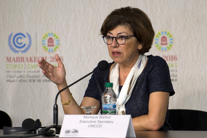 Monique Barbut, ex-présidente du <span class="caps">WWF</span> France, nommée à la Transition écologique