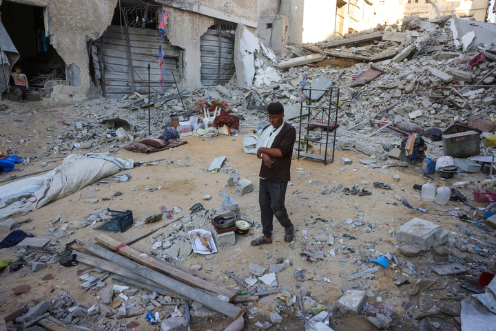 À Gaza, ils et elles se battent pour reconstruire leur agriculture