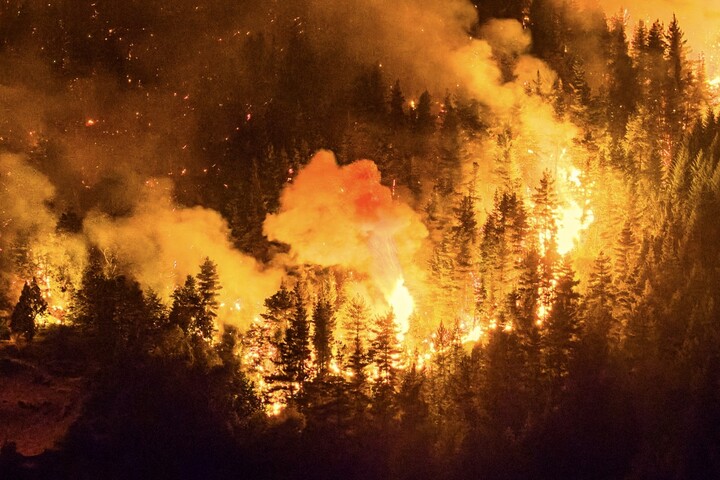 Des feux détruisent 15 000 hectares de forêt en Patagonie