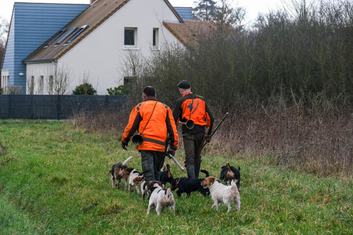 Piégeage des alouettes, tirs le dimanche : le lobby de la chasse fait pression sur les futurs maires