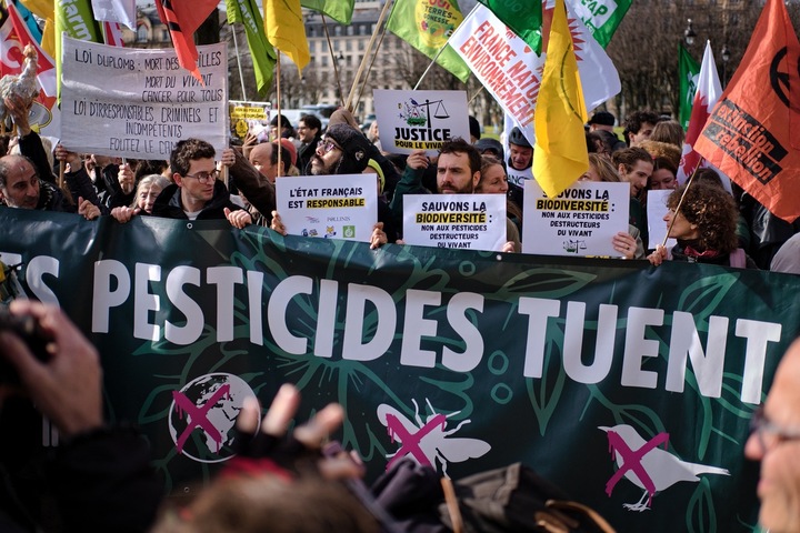 Pesticides : l'État fait fi de sa condamnation, des associations contre-attaquent