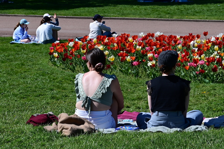 Jusqu'à 31 °C en avril : les fortes chaleurs font un retour précoce en France