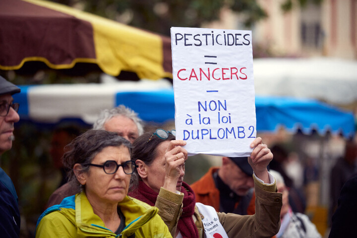 Acétamipride : Laurent Duplomb fait voter le retour de l'insecticide en commission sénatoriale