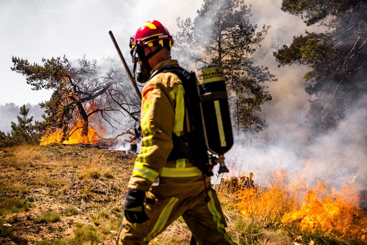 Incendies et sécheresses records : les craintes d'une «<small class="fine d-inline"> </small>année sans précédent<small class="fine d-inline"> </small>» se renforcent