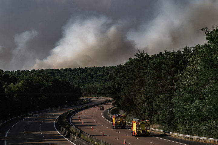 Fontainebleau, symbole de la remontée des incendies vers le nord
