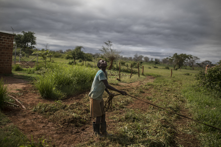 Comment les multinationales organisent un «<small class="fine d-inline"> </small>hold-up sur les semences<small class="fine d-inline"> </small>» en Afrique
