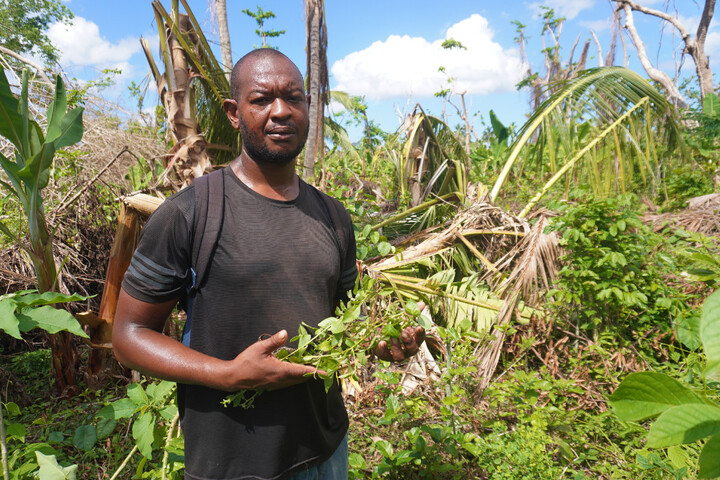 À Mayotte dévastée par le cyclone, «<small class="fine d-inline"> </small>les agriculteurs ont tout perdu<small class="fine d-inline"> </small>»