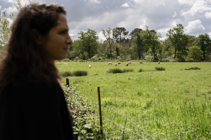 «<small class="fine d-inline"> </small>Comment peut-on faire ça à ses voisins<small class="fine d-inline"> </small>?<small class="fine d-inline"> </small>» : quand l'agrivoltaïsme fracture le monde rural