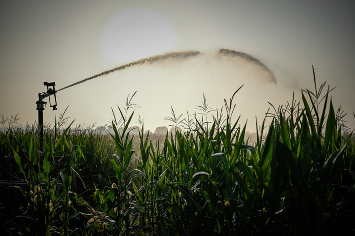 Loi d'urgence agricole : Laurent Duplomb impose son texte