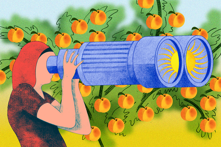«<small class="fine d-inline"> </small>Si nos dirigeants étaient jardiniers, auraient-ils plus d'empathie<small class="fine d-inline"> </small>?<small class="fine d-inline"> </small>»