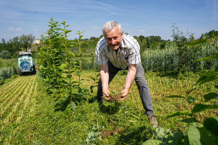Ce pépiniériste cultive des arbres résistants au changement climatique