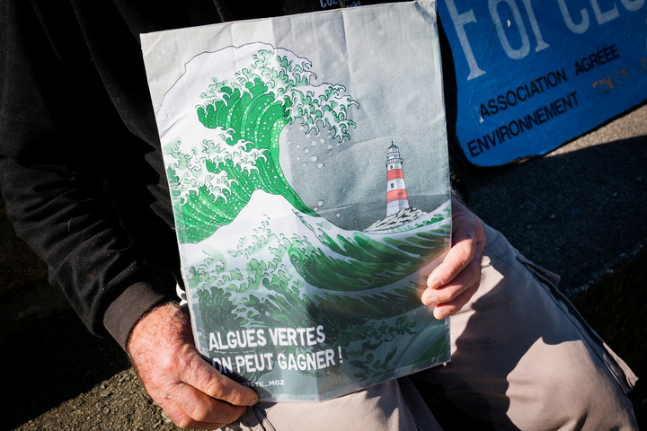 Les algues vertes ne tapissent pas que les plages : elles étouffent aussi les fonds marins