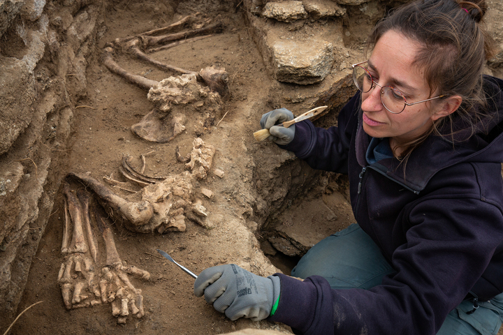Sur l'île d'Yeu, des squelettes de 3 600 ans menacés par la montée des eaux