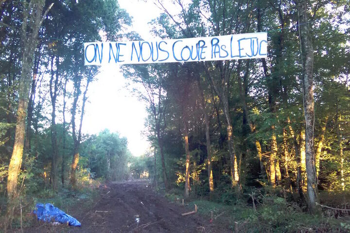 Près de Bure, les opposants au nucléaire occupent la forêt que veut détruire l'Andra