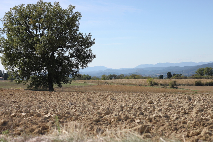 Pour ou contre le golf immobilier près d'Alès<small class="fine d-inline"> </small>? Les habitants ont tranché : c'est non