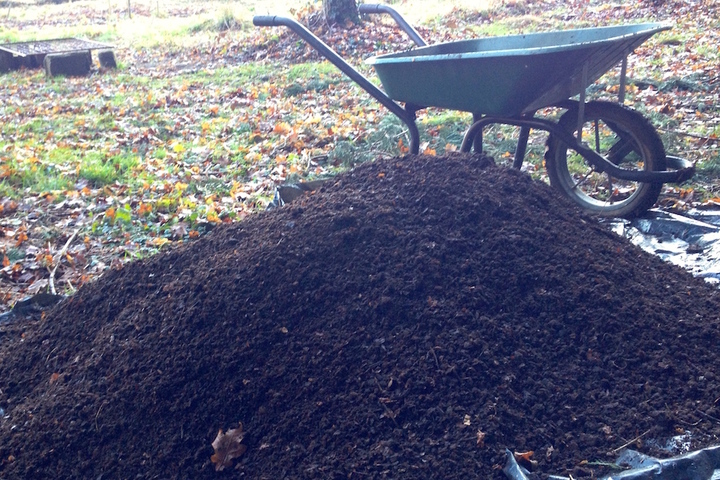 A bon compost, beau jardin