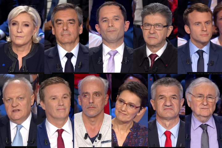 Agriculture, biodiversité, police, institutions : ce que proposent les candidats