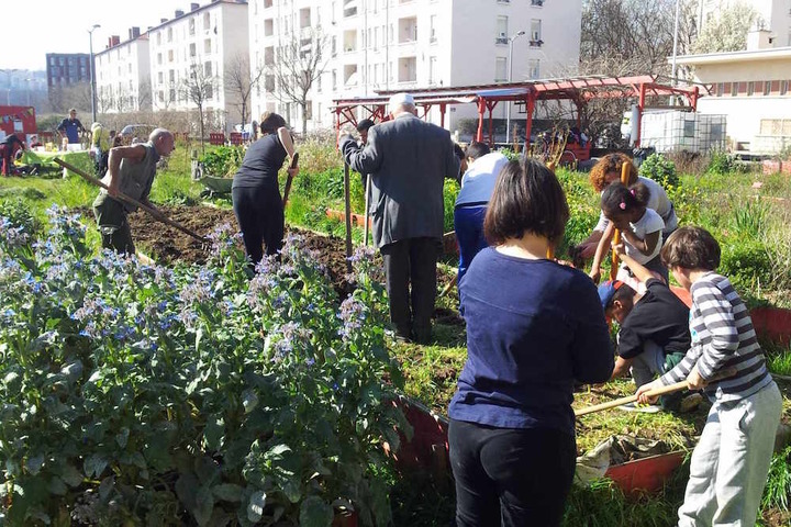 À Lyon, la Légumerie fait pousser le lien social