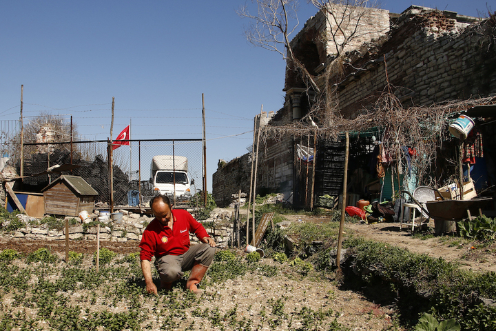 À Istanbul, les potagers font vivre l'esprit de liberté