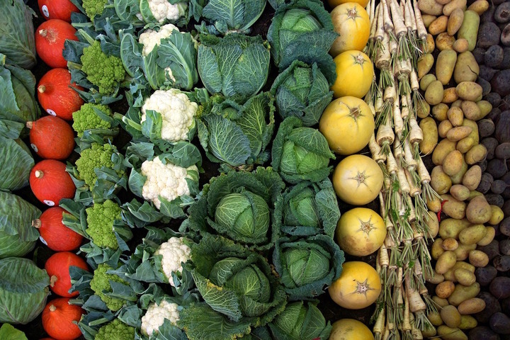La France doit confirmer son rôle de pionnière en agriculture biologique