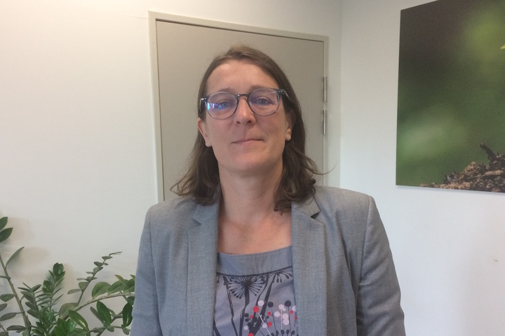 Comment évalue-t-on les risques des perturbateurs endocriniens et pesticides dans l'alimentation<small class="fine d-inline"> </small>?