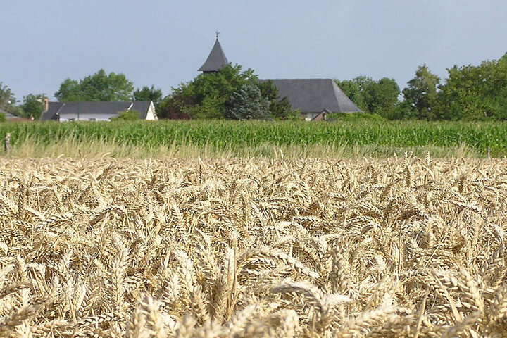 Les Églises chrétiennes doivent devenir vertes