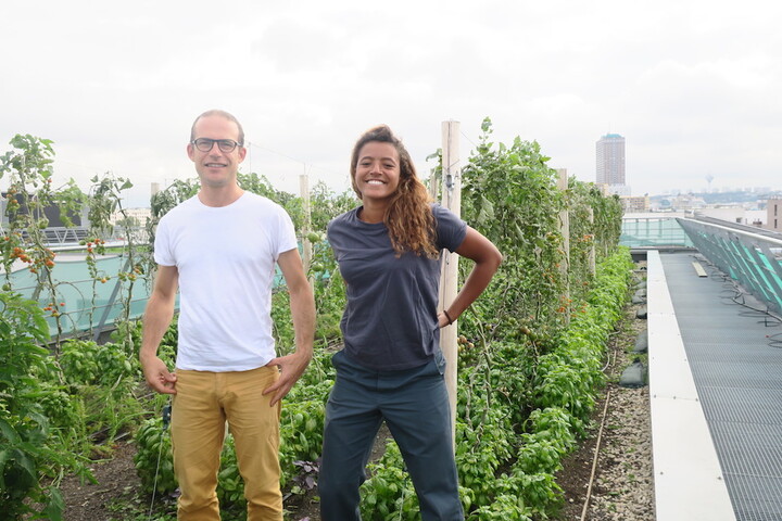 Le potager urbain du futur pousse sur le toit d'un centre commercial