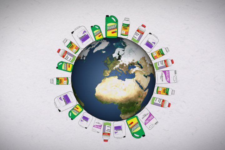 Glyphosate : l'herbicide ré-autorisé pour 5 ans