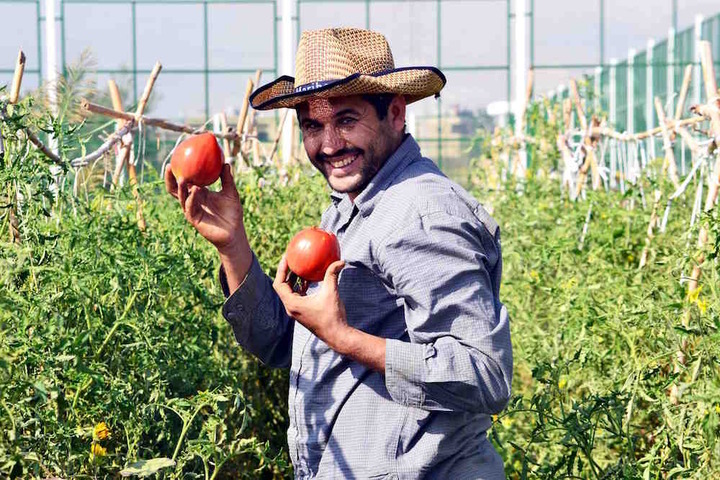 L'agroécologie, le pari pour la paix d'un collectif libanais