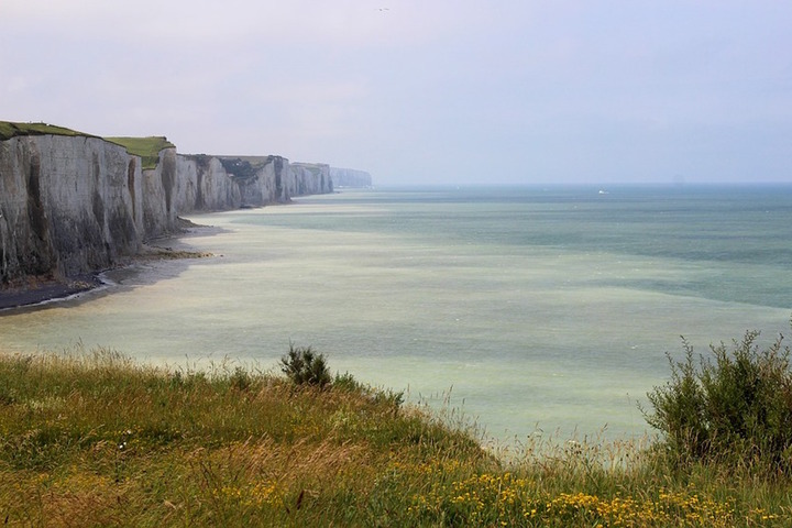 Un parc éolien en mer oppose l'Agence pour la biodiversité et le Parc naturel de la mer d'Opale