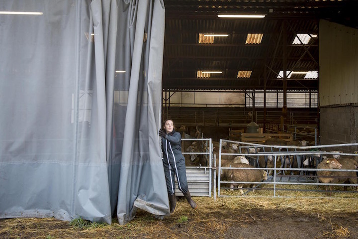 Dans ce lycée, les jeunes paysans apprennent l'agriculture bio