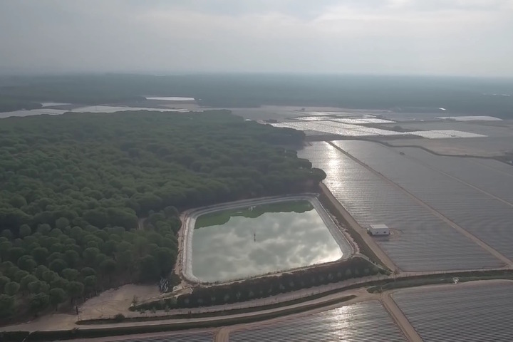 Changement climatique et culture intensive assèchent le parc naturel espagnol de la Doñana