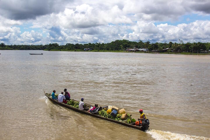 La justice de Colombie reconnaît la forêt amazonienne comme sujet de droit