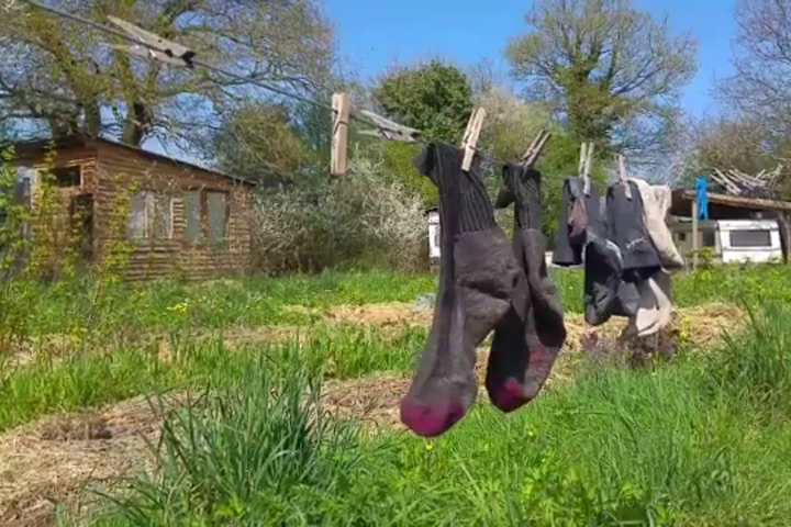 Zad de Notre-Dame-des-Landes : l'accalmie